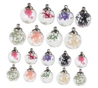 UKCOCO 20 pièces Boules de Fleurs Séchées Transparentes pour DIY Accessoires de Bijoux Verre Creux Décoration Miniature pour Bracelets et Colliers