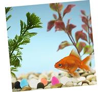 UKCOCO 200pièces Gravier pour Aquarium Multifonctionnel Galets Décoratifs pour Pots De Fleurs Pierres Compactes Naturelles sans Danger pour Poissons