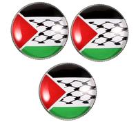 UKCOCO 3 Pièces Épinglette Nationale de Palestine Broche Patriotique Accessoire Élégant pour Vêtements Sacs Chapeaux et Plus