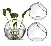 UKCOCO 3 pièces Vases Verre Ronds pour Terrarium Plantes Air Contenants Hydroponiques Décoratifs pour Bureau et Maison Verres Transparants Élégants