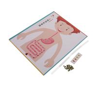 UKCOCO 4 Ensembles Kit Modélisme Digestif DIY pour Garçon Fille Modèle Éducatif Réaliste Système Digestif Humain Scientifique pour Apprentissage Pratique et Développement des Compétences