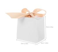 UKCOCO 50 Ensembles Boîtes à Blanches Miniatures avec Ruban Doré Coffrets Élégants pour Mariage Baptême Anniversaire et Fêtes Lot de Petites Boîtes Personnalisables