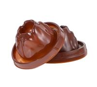 UKCOCO 6 pièces Modèles de Scientifiques avec Base pour Expériences DIY Accessoires pour Activités Manuelles et Enseignement Géographie