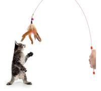 UKCOCO Baguette Perles, Cloche et Fils avec Chasseur pour Chaton