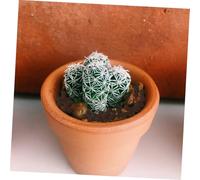 UKCOCO Billes d'argile pour plantes succulentes Granulés naturels pour drainage aération et protection racinaire Substrat respirant pour pots et culture hydroponique 1-14 cm - brun