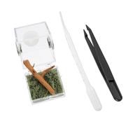 UKCOCO Boîte Élevage Araignées Acrylique Cage De Nourriture pour Reptiles Conteneur Éclosion pour Maison avec Orifice De Ventilation Résistant à Humidité