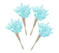 UKCOCO Bouquet 60 Fleurs Séchées Queue de Lapin Naturelles Bleu Clair, Herbe Pampa Décorative pour Mariage, Décoration Intérieure, Composition de Fleur DIY, Accessoires Photo et Fête