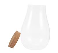 UKCOCO Bouteille en Verre Écologique pour Betta Et Terrarium, Décor De Paysage De Bryophytes 20x14 Cm Bouchon en Bois, Propagation De Plantes D’intérieur pour Salon Et Jardin