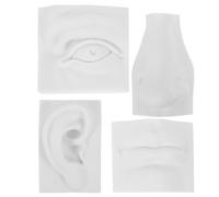UKCOCO Ensemble 4 Pièces de Modèles en Plâtre pour Sculpture des Traits du Visage Outil Pédagogique de Dessin Détails Précis pour Esquisse Artistique pour Exercices de Croquis et