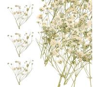 UKCOCO Gypsophile Naturelle Séchée Blanche 80 Branches pour Décoration Intérieure DIY, Bouquet Fleurs Séchées Éternelles, Accessoires Agencement Floral Rustique et Mariage