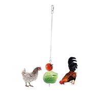 UKCOCO Jouet à Mordre pour Perroquet Acier Inoxydable Jouet Suspendu pour Oiseau avec Fourchette à Fruits Pratique pour Perroquet