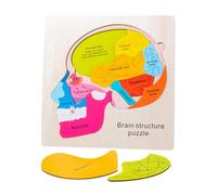 UKCOCO Jouet Structure Cérébrale Garçon et Filles Puzzle Bois Éducatif Cognition Formes Couleurs Jeu d'Association Logique Jouet Apprentissage Montessori