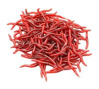 UKCOCO Leurres Souples 150 Pcs Faux vers Rouges Réalistes 4 Cm en Plastique pour Pêche Eau Douce et Eau Salée, Appâts Imitation Terre pour Bar et Autres Poissons
