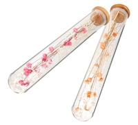 UKCOCO Lot de 2 Fleurs Séchées Éternelles en Bouteille de Verre Décorative, Bouquet de Fleurs Séchées Naturelles Orange, Décoration de Bureau et Maison, Accessoires DIY pour Intérieur