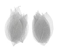 UKCOCO Lot de 20 Feuilles Squelette Immortelles Colorées Taille Aléatoire Veines Délicates Décoration DIY Scrapbooking Embellissement Artisanal pour Loisirs Créatifs et Projets