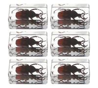 UKCOCO Lot de 6 Spécimens de Coléoptères, Araignées et Arachnides en Résine Préservée, 4,5 Cm, Objets Décoratifs Éducatifs pour Fournitures de Professeurs de Sciences et Collections