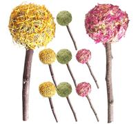 UKCOCO Lot de 9 Bâtonnets à Mâcher Naturels pour Petits Animaux - Jouets de Dentition pour Lapins Cochons D’Inde et Hamsters - Assortiment 3 X Rose Souci et Foin - Favorise L’Usure
