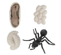 UKCOCO Modèles De Départ des Fourmis Ouvrières Jouet D'éducation Précoce Cycle De Vie Simulé Garçon Et Filles Apprentissage Cognitif Maison Décoration Ensemble 4 Pièces
