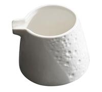 UKCOCO Pichet à Lait Porcelaine Crémier Céramique Petit Format Verseur Sauce Multifonction pour Café et Thé Sirop et Élégant pour Restaurant