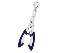 UKCOCO Pince à Noyau Multifonction Acier Inoxydable pour Fruits Dénoyauteur Ergonomique Bleu Outil Pratique pour Dattes et Jujubes