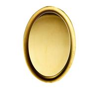 UKCOCO Plateau de Service Acier Inoxydable Plat Oval pour Poisson Vapeur Viande Fruits et Desserts Ustensile Pratique pour Maison et Restaurant