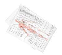 UKCOCO Poster Anatomique Humain Affiche Anatomie Squelette Muscles Corps Structure Éducative pour École Laboratoire Bureau Décoration