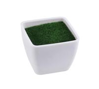 UKCOCO Pot Fleur Plastique Artificielle avec Mousse Petit Pot Carré Décoration Bureau Voiture Maison Ensemble Fausse Plante et Portable