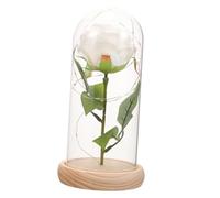 UKCOCO Rose Éternelle Préservée Décoration Intérieure Fleur Immortelle Cadeau Saint-Valentin Vase Verre
