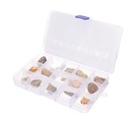 UKCOCO Spécimens Fossiles Naturels Décoratifs pour Étude et Collection Ornement de Pierre pour Décoration Intérieure et Apprentissage Archéologique