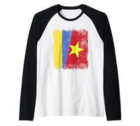 Ukraine Vietnam Demi Drapeau Ukrainien Vietnamien Histoire Manche Raglan