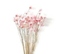 Ulalaza 100 pièces de Fleurs sèches Naturelles de différentes Couleurs, Bouquet de Fleurs séchées de gypsophile, Maison, Jardin, Bureau, Mariage, en Vrac pour Vase, Mariage, fête de Bricolage
