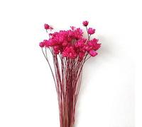 Ulalaza 100 pièces de Fleurs sèches Naturelles de différentes Couleurs, Bouquet de Fleurs séchées de gypsophile, Maison, Jardin, Bureau, Mariage, en Vrac pour Vase, Mariage, fête de Bricolage
