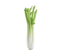 Ulalaza 2 pcs légumes artificiels réalistes Simulation réaliste Mousse décorative Simulation Alimentaire céleri Ensemble Faux légumes pour la Maison Cuisine décor de fête