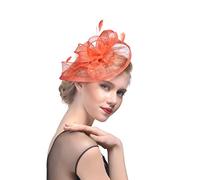 Ulalaza Fascinators Femmes Chapeau Pince ¨¤ Cheveux Plume Mariage Cocktail de Mariage Chapeau Derby ¨¦glise Banquet pour Les Filles