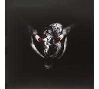 Ulan Bator - Abracadabra [Import]