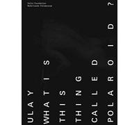 Ulay: What Is This Thing Called Polaroid?