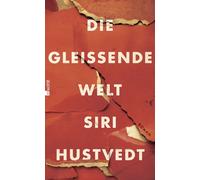 Uli Aumüller Siri Hustvedt Die gleißende Welt (Relié)