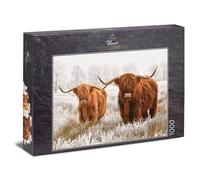 Ulmer Puzzleschmiede - Puzzle Amis d'hiver: Puzzle 1000 pièces - Deux bovins Highland sur Leur pâturage en Hiver