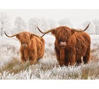 Ulmer Puzzleschmiede - Puzzle « Amis d'hiver » - Puzzle d'hiver de 2000 pièces - Motif puzzle avec deux bovins de haute terre à poils longs - Superbe contraste d'image entre animal et nature