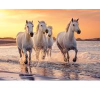 Ulmer Puzzleschmiede - Puzzle chevaux de Camargue - Puzzle animal de 2000 pièces - Le cheval blanc dans la nature en Camargue, Provence, Sud de la France