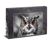 Ulmer Puzzleschmiede - Puzzle Chouette: Puzzle 1000 pièces - Les Yeux de la Chouette sur Fond Noir et Blanc