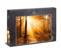 Ulmer Puzzleschmiede - Puzzle Forêt d'automne dorée: Puzzle 1000 pièces - Automne pittoresque avec lumière du Soleil Entre Les Arbres dans Une forêt d'automne colorée