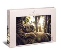 Ulmer Puzzleschmiede - Puzzle "Le rêveur" - Koala commence confortablement la journée - Puzzle agréable de 1000 pièces d'animaux australiens avec l'ours coalaba endormi