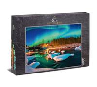 Ulmer Puzzleschmiede - Puzzle Lumières solitaires: Puzzle 1000 pièces - Aurore boréale au-Dessus d'une cabane isolée au Bord de l'Arctique
