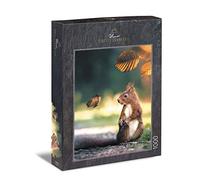 Ulmer Puzzleschmiede - Puzzle « Oreille pinceau et queue d'aronde » - Puzzle distinctif de 1000 pièces avec de petits amis d'animaux - L'écureuil énorme est surpris par le papillon bien camouflé