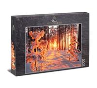 Ulmer Puzzleschmiede - Puzzle « Soleil d'hiver » - Puzzle classique de 2000 pièces - Paysage de neige dans notre maison - Rayons chauds du soleil, lumière et ombre dans la forêt d'hiver froide