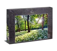 Ulmer Puzzleschmiede - Puzzle « Soleil printanier » - Puzzle Classique de 1000 pièces - Les Rayons Chauds du Soleil ravivent la forêt au Printemps, Les Fleurs, Le Paysage se réveille.