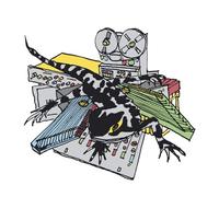 Ulrich Troyer - Transit Tribe [VINYL]