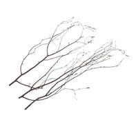 ULTECHNOVO 20pcs Branche de Bouleau en Bois Naturel pour Artisanat, Bâtons Décoratifs Solides, Accessoires pour Compositions Florales et Bricolage à Domicile ou Bureau