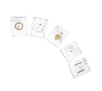 ULTECHNOVO 5 Ensembles Kit de Physique pour L'électrostatique avec Limaille de Fer et Plastique, Dispositif de Démonstration de Champ Électrique pour Cours de Sciences Lycée